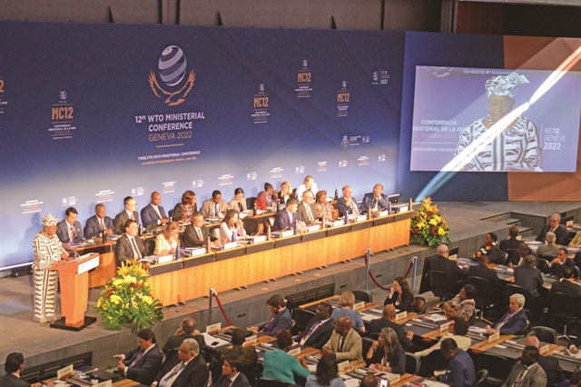 Vietnam attends 12th WTO Ministerial Conference, urges reforms