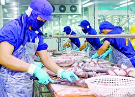 High price hampers Vietnam’s seafood exports to Asia-Pacific markets
