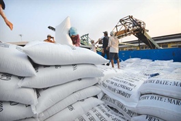Vietnam’s rice exports to US surge by 71% in January-May