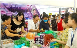 Hanoi-based forum boosts trade with overseas Vietnamese in Thailand