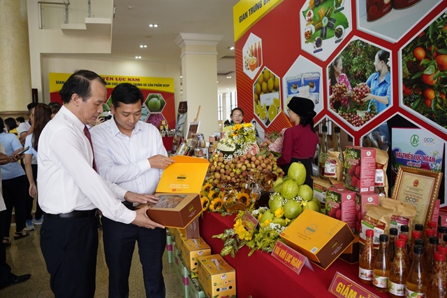 Bac Giang lychees go global