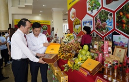 Bac Giang lychees go global