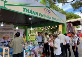 Mekong Delta provinces promote brand products