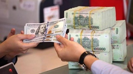 VND remains most stable currency in region: Report
