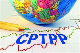 CPTPP benefits Southeast Asian SMEs