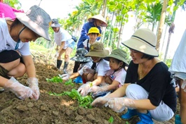 Vietnam boosts agro-tourism model