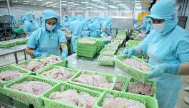 EVFTA drives Vietnam’s exports forward