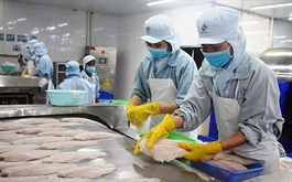 Vietnamese exports to Nordic markets thrive