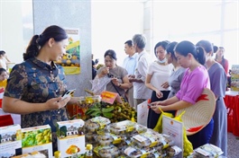 Vietnam brings Hung Yen longan to international markets