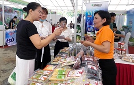 Fair linking farm producers to market opens in Hanoi