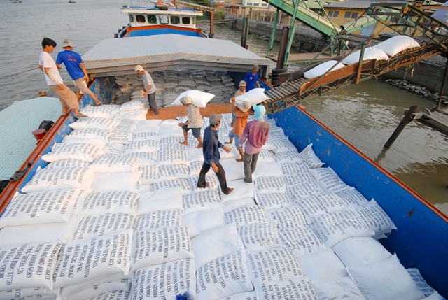 Giá gạo Thái tiếp tục tăng, bỏ xa gạo Việt hơn 25 USD/tấn - ảnh 1