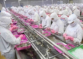 Dư địa xuất khẩu sang EU còn nhiều nếu doanh nghiệp tận dụng tốt EVFTA