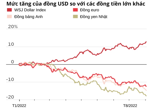 sức mạnh đồng USD ảnh 1