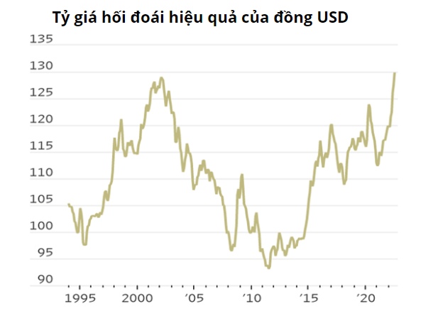 sức mạnh đồng USD ảnh 2