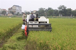 Hanoi takes measures to boost farm export