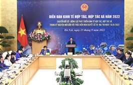 Vietnam's cooperative economy needs changes