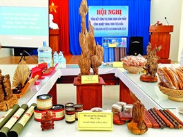 Khanh Hoa develops rural industrial products
