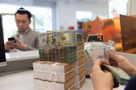 Vietnam central bank raises forex rate fourth time in 2022
