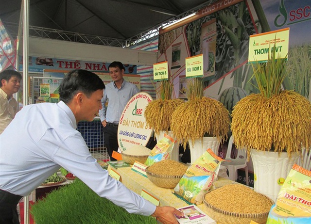 Bright prospects for rice exports