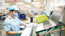 Vietnam’s economy stands firm in rapid recovery path: AMRO