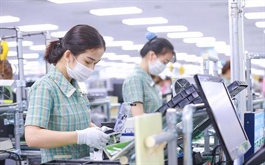 Vietnam remains attractive option for diversification of the global supply chain: OECD