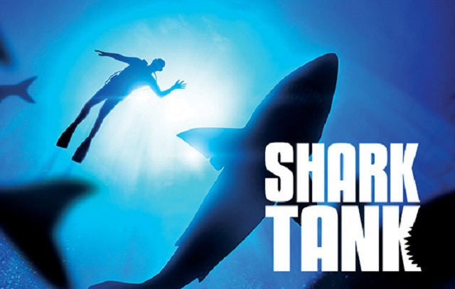 Shark Tank: Đừng để bị đuối nước 
