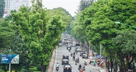 Long-term vision in planning required for more green urban space in Vietnam