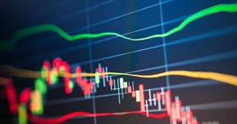 VN-Index decline reflects crisis stock market