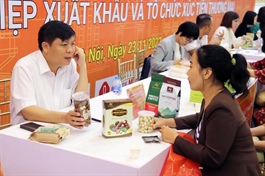 Hanoi and other localities boost trade links for farm produce