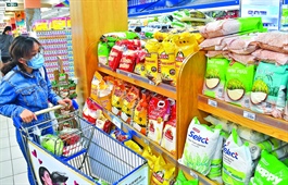 Vietnamese goods increase foreign presence