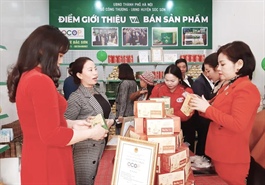 Hanoi consumers enjoy shopping at outskirts’ OCOP showrooms