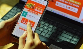 Hanoi to build digital trade promotion ecosystem