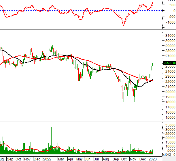 Ngày 19/01/2023: 10 cổ phiếu nóng dưới góc nhìn PTKT của Vietstock