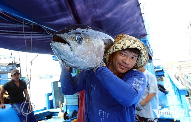 Mỹ chi tiền khủng mua ăn, Việt Nam có thêm con cá tỷ USD