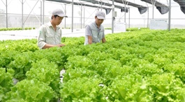 Vietnam to add value to vegetable and fruit