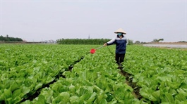 Hanoi to expand hi-tech farming models