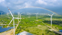 International partners keen on Vietnam's renewable energy sector