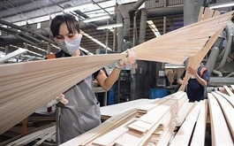 US extends investigation of trade remedy evasion of Vietnamese plywood
