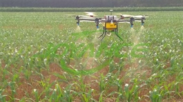 Hanoi promotes AI in agricultural production