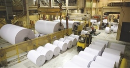 Paper industry needs to switch to production of high-quality packaging: association