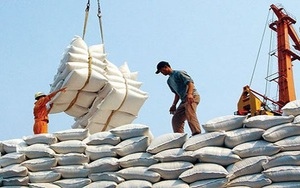 Philippines muốn nhập thêm 330.000 tấn gạo - Ảnh 1.