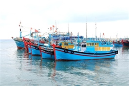 Joint efforts exerted to fight IUU fishing