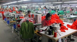 Listed textiles enterprises (TCM) face negative prospects this year