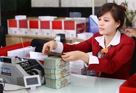 Viet Nam’s banking sector liquidity crunch eases