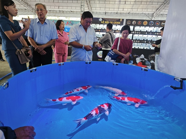 Đi Lễ hội Cá cảnh TP HCM, khách được vớt cá cảnh miễn phí về nuôi - Ảnh 8.