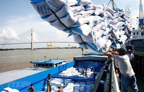 Strategy on rice export market development until 2030 approved