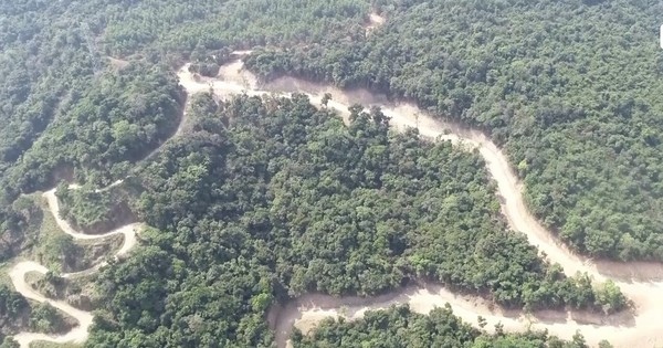 Tập đoàn Đèo Cả nói về vụ phá rừng mở đường ở Quảng Ngãi