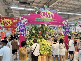 Hanoi residents enjoy plum and safe specialties from Son La