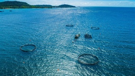 Norway strengthens support to Vietnam's sustainable marine aquaculture