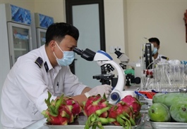 VN, China to boost cooperation in market surveillance